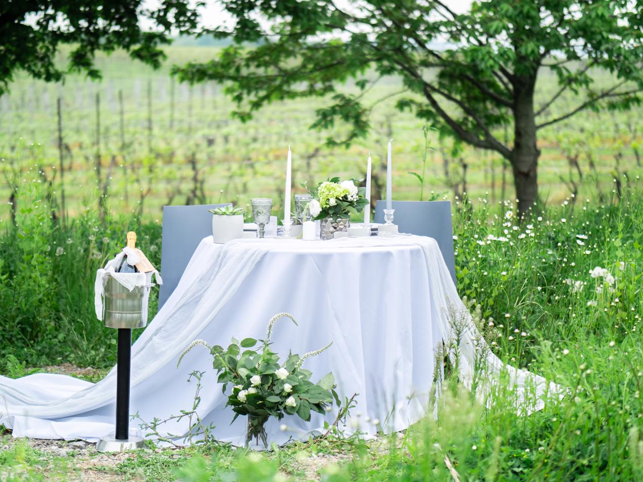 Niagara Wedding Shoot